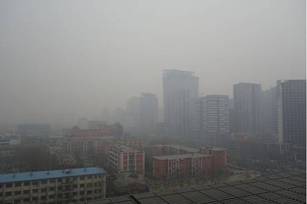 1565765625602284.jpg 1.jpg